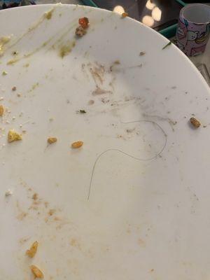 Long hair I found in my food