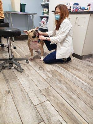 Walter getting his ears checked out by Dr. Budgin in the Westchester office