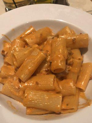 Rigatoni with vodka sauce