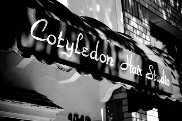 Cotyledon Hair Salon