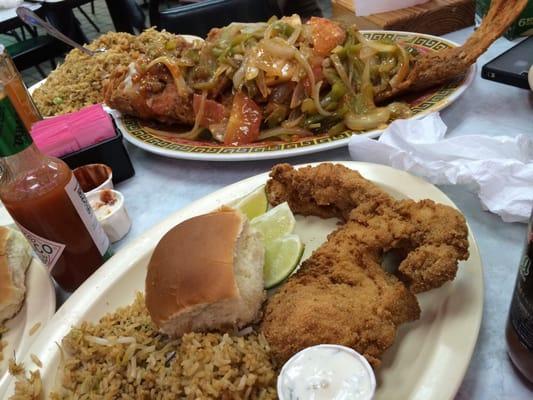 Whole Red snapper ranchero style and fried gar