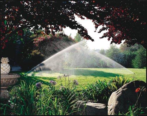 Sprinkler Installation