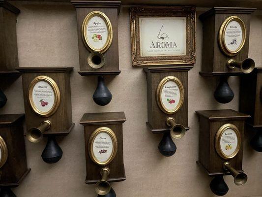 The Aristocratic Tasting - behind the scenes in the wine cellar. Checking out all the olfactory wine notes