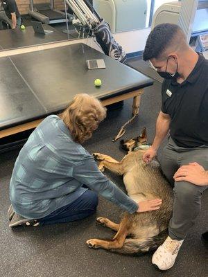 Rotator cuff reconstruction patient petting therapy dog as part of her active motion for her shoulder. Therapy dog Nami and trainer Jordan.