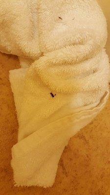 had to use a towel on sticky bathroom floor, so did the bugs.