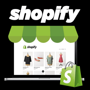 Sale your products on a custom made Shopify Website Design