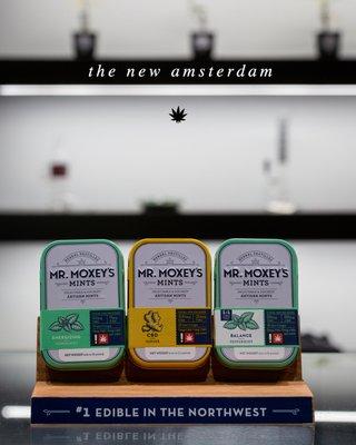 The New Amsterdam