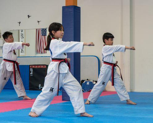 Taekwondo Poomsae training