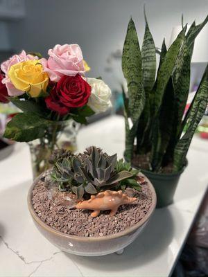 Succulent, planter bowl, and dinosaur from East Austin Succulents. Snake plant from Tillery Street Plant Company.