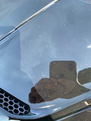 Blotches on both hood vents.