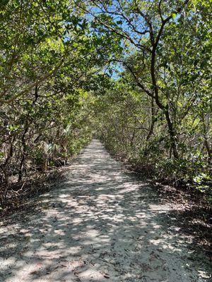 Beautiful lush hiking path towards the lookout point