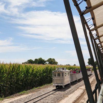 Mini train rides