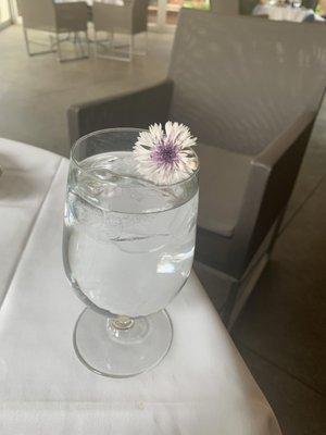 The garnish that came with my crabcakes that I ate before I took the pic.