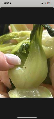 D9. Steamed Baby Bok Choy with Protein