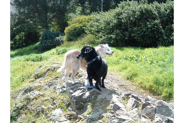 Hari and Louie enjoy the view up on the hill