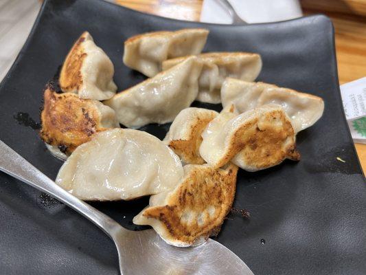 3. Beef with Scallion Dumplings Pan Fried