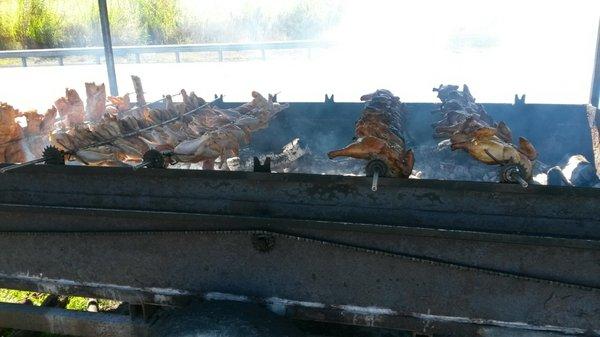 Delicious bbq outside on Sundays! Ribs (pork and beef) and chicken!