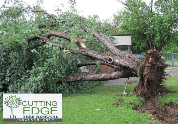 Tree Cutting Services in Metairie, LA