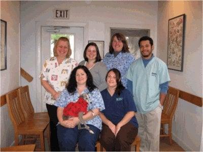 East Brook Animal Hospital