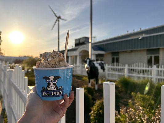 Toft's Ice Cream Parlor