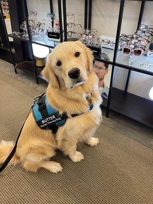 Butter, our therapy dog is ready to help you with all of your eyecare needs!