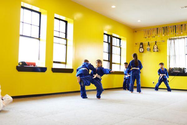 Kid's Martial Arts: Brazilian Jiu Jitsu