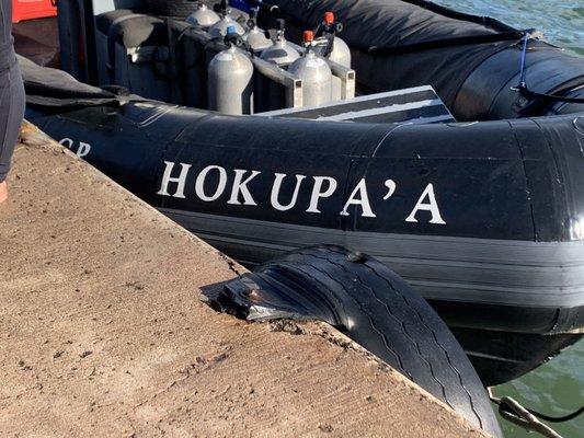 The Hokupa'a boat that took us to our dive sites