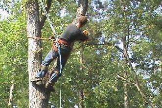 Jamie Swenson Tree Service