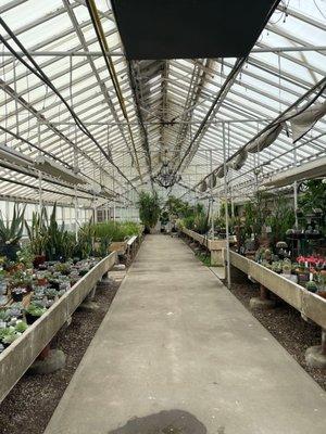 Plants in the greenhouse located in the back half of Gerych's