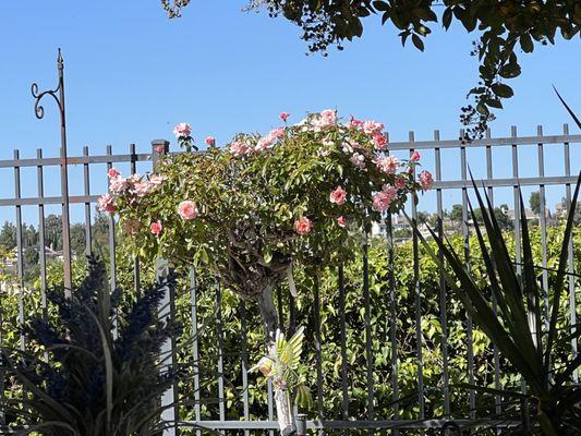 Beautiful Flowers cover the grounds.