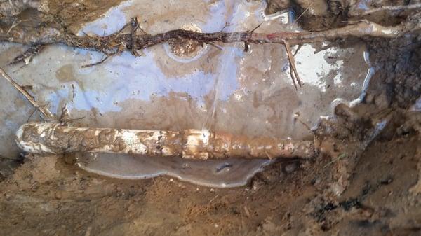 Got A Leak?! Call Us today! Affordable water line repairs