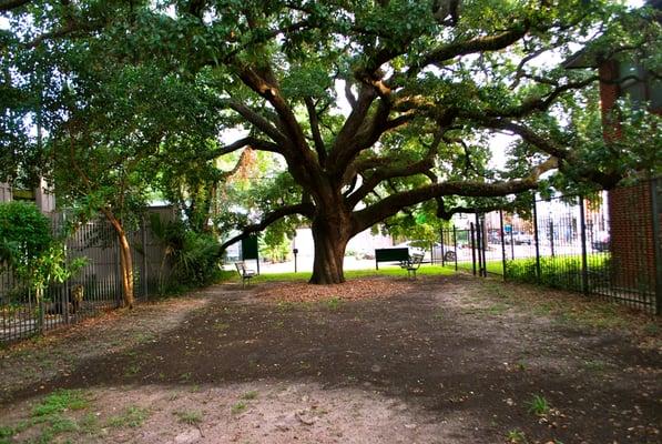 View from back of park