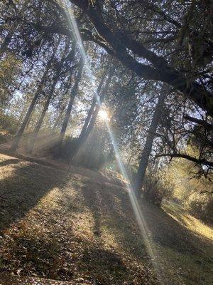 The back yard at More To Life Recovery in Fiddletown, California.   Serenity at its best!!