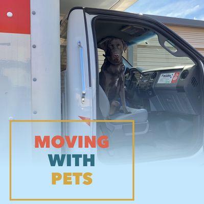 Moving with Pets