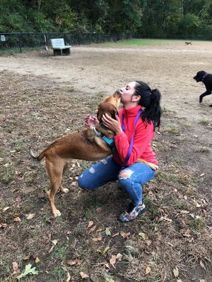 This was taken by a owner. She has never seen her dog show affection so fast towards someone. Summer is such a sweet and loving dog.