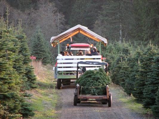 Ride the wagon to get your tree, and let us bring your tree back in for you!