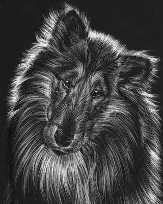 Sarah, Age 14, Scratchboard