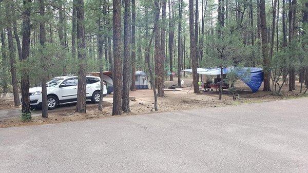 Ponderosa Campground, simply the best!!!!  Thanks Roy and Bart!