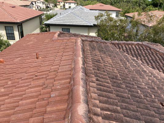 Skill Roof Cleaning