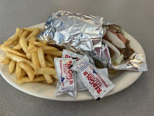 Gyro wrap and fries