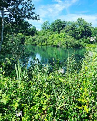 View of the lake