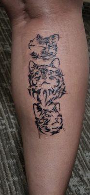 My daughter's kitty expressions piece on her calf. I mean trait, look at how clean those lines are!