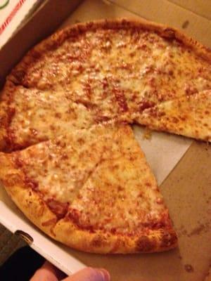 Amazing cheese pizza.