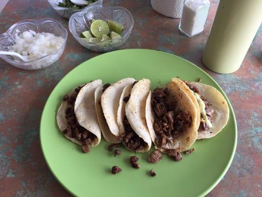 Hand made tortillas tacos are only 1.25 they are full of meat and flavor