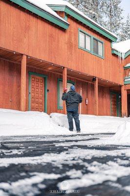 Winter is the time for pests to start moving into your property. Stay protected with True Blue Pest Control Truckee Tahoe CA Exterminator!