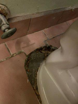 The finish work at the base of my toilet after they replaced it.