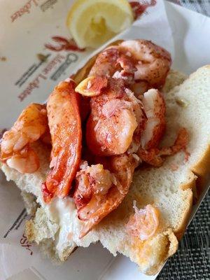 Maine lobster roll