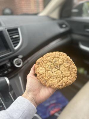 Oatmeal Chocolate Chip Cookie