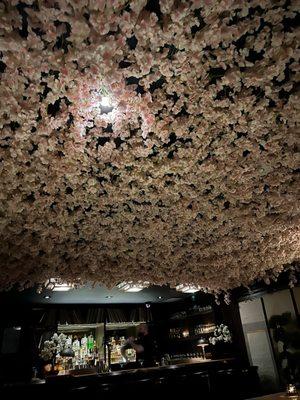 Cherry blossom ceiling!