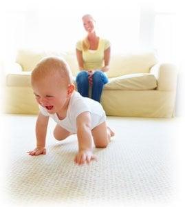 Excellent Carpet Cleaning